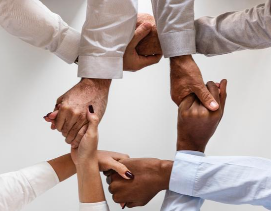 时令水果批发行业冷链仓储技术升级与温控管理要点解析