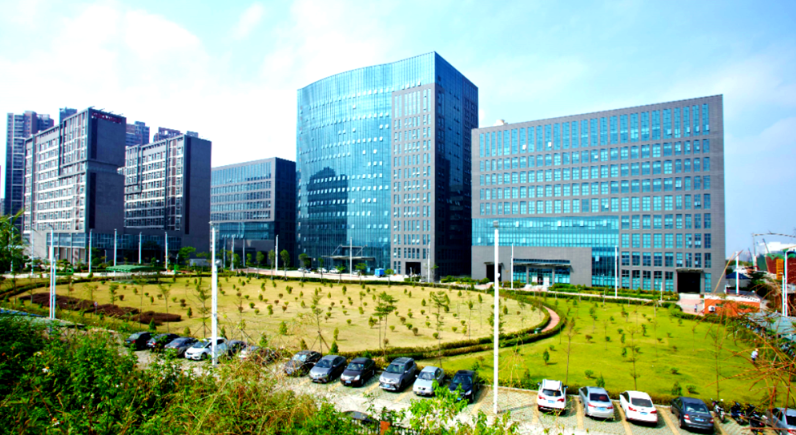 宜宾时令水果批发基地直供模式与品质管控流程解析