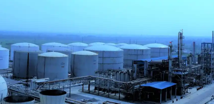 宜宾时令水果批发基地直供模式与供应链优势详解